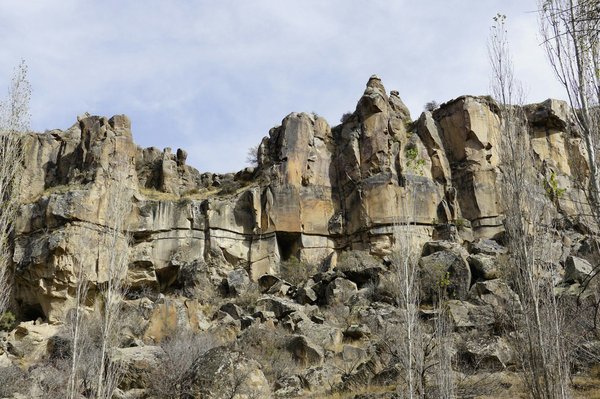 Optez pour la formation bpjeps et transformez votre carrière